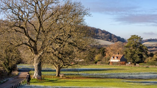 village green in winter with bare branched trees and cottages in the background